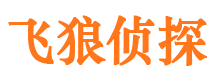 靖安外遇调查取证